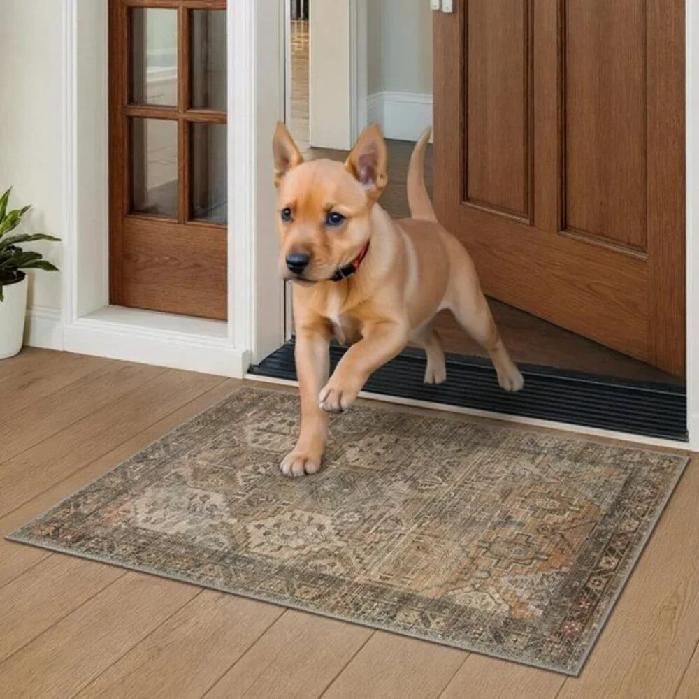 New 2x3 Entryway Rug, Washable Vintage Non-Slip Chenille Carpet for Home & Room